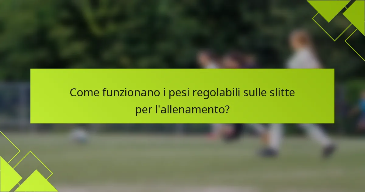 Come funzionano i pesi regolabili sulle slitte per l'allenamento?