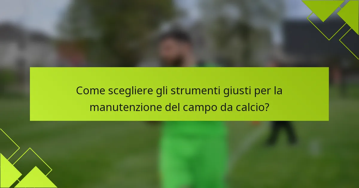 Come scegliere gli strumenti giusti per la manutenzione del campo da calcio?